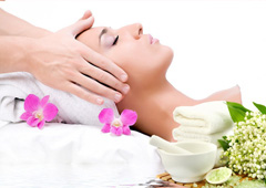 高级美容师全能班